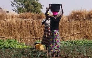 Frauen bewirtschaften ihren Gemeinschaftsgarten Frauen bei der Arbeit im Gemeinschaftsgarten