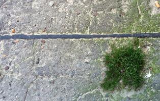 Mit Beton versiegelter Boden